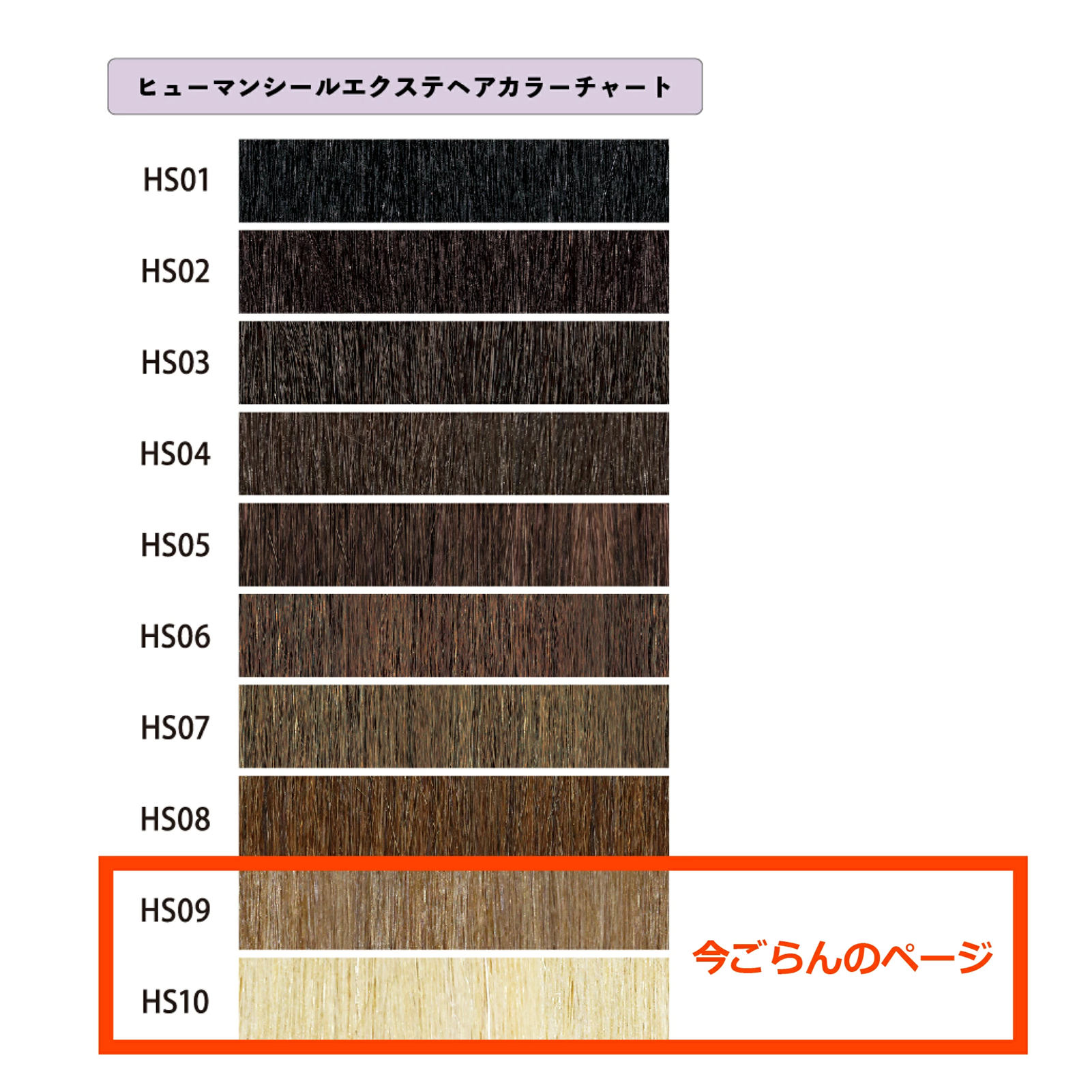 アレスプランニング アレス 人毛100% シール エクステ 20枚入り（60cm