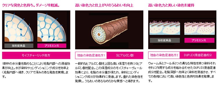 【大特価　処分品】　資生堂　プリミエンス　132本セット【カラー剤】 0250250010381.jpg