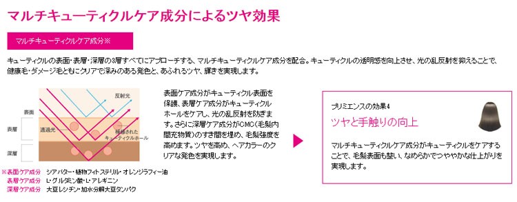 SHISEIDO PROFESSIONAL（資生堂プロフェッショナル） 資生堂