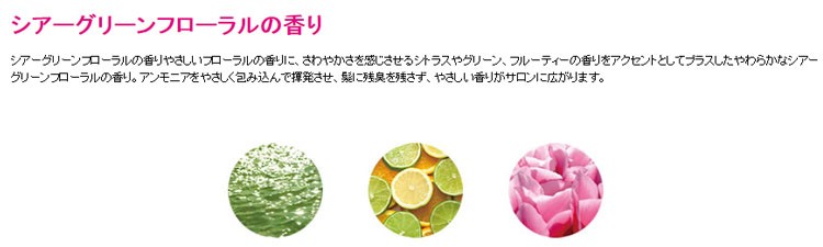 SHISEIDO PROFESSIONAL（資生堂プロフェッショナル） 資生堂