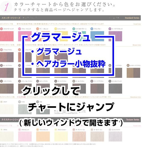 hoyu（ホーユー） グラマージュ 150g ヘアマニキュア 白髪染め 美容室