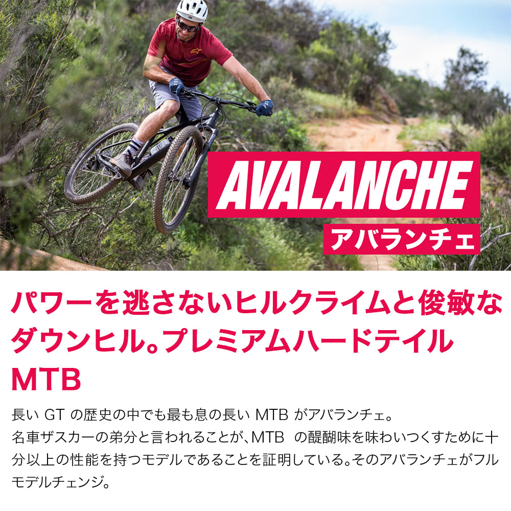 GT MTB マウンテンバイク