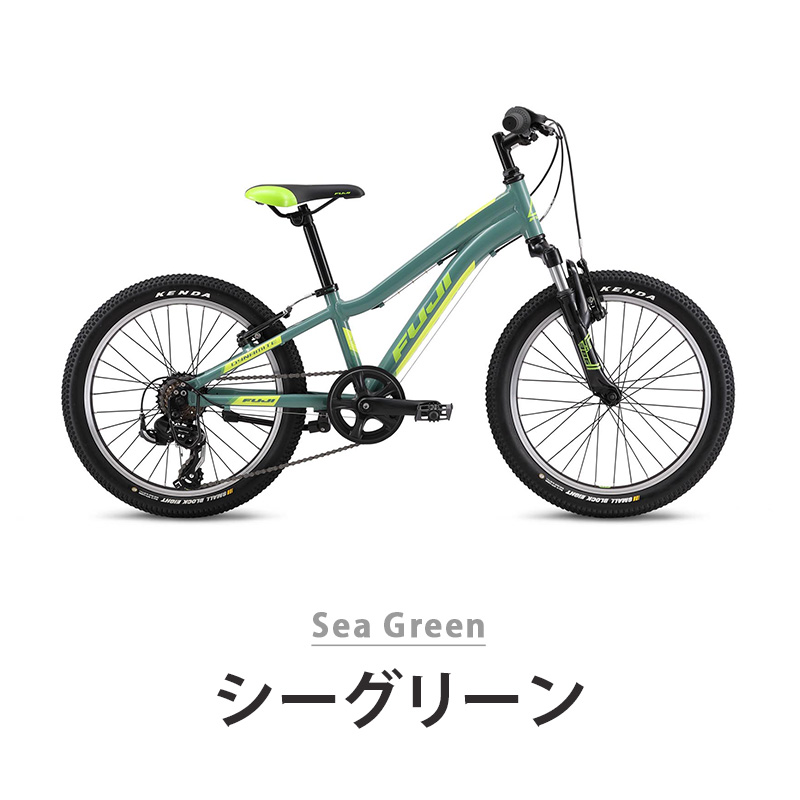 フジ（Fuji） 自転車 キッズ 子供 キッズバイク DYNAMITE 20 