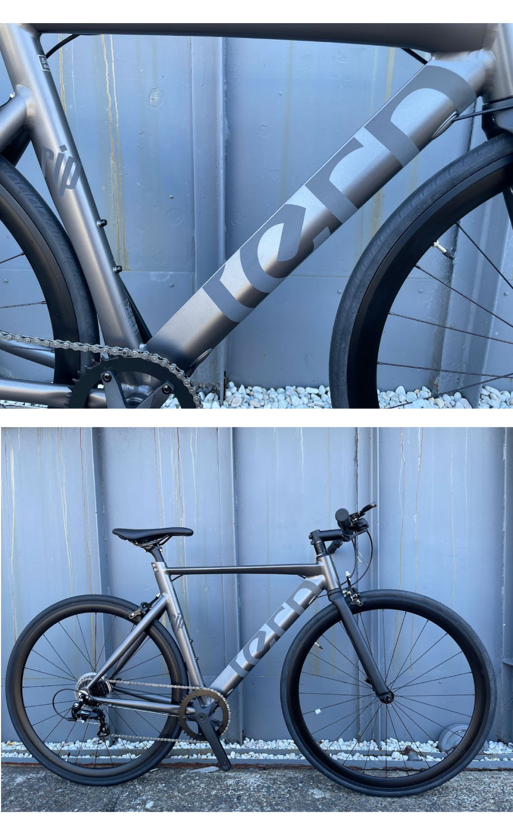 DAHON Tern ターン 自転車 クロスバイク RIP リップ 20254年
