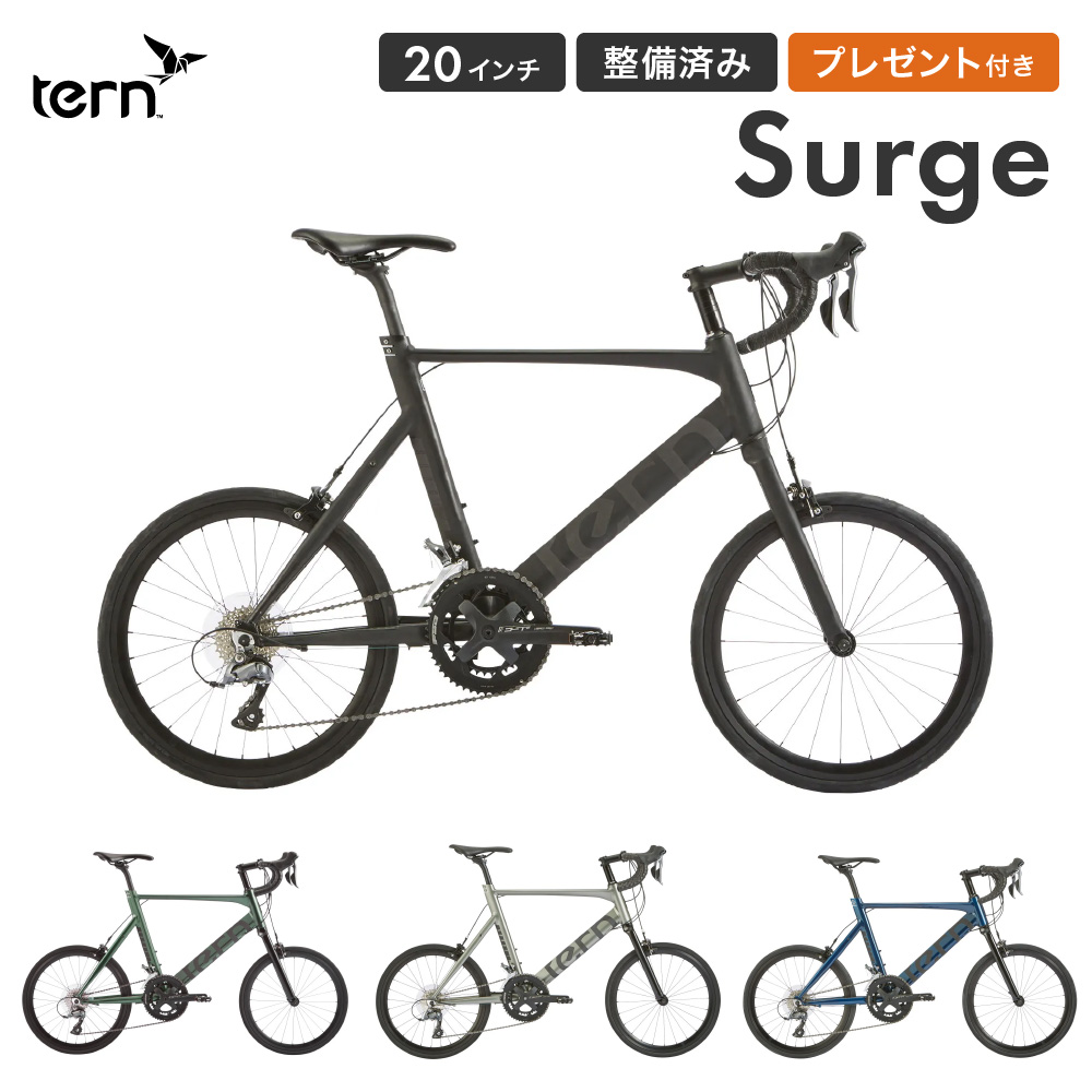 Tern surge サージュ