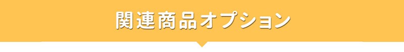 Bee-Fi ビーファイ レンタル WiFi オプション商品