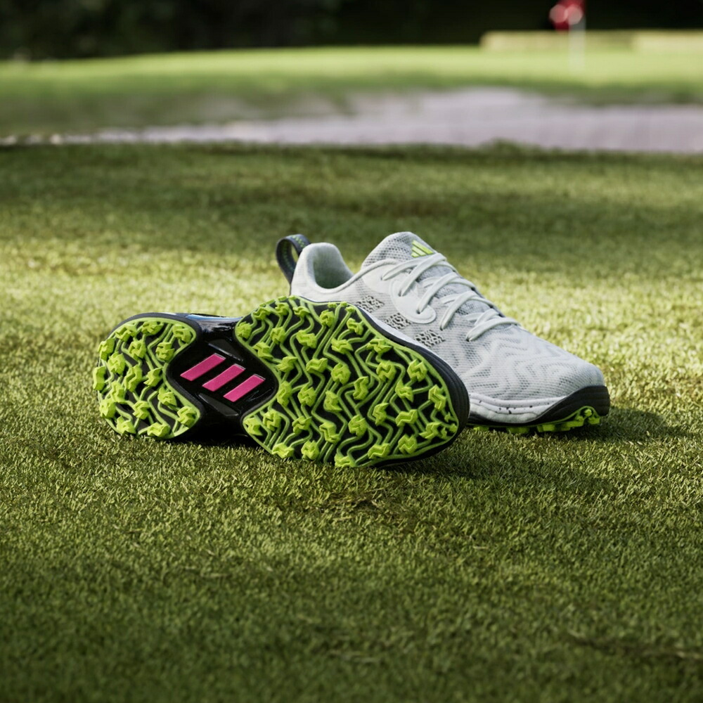 adidas アディダス ゴルフ 靴 くつ MDV41