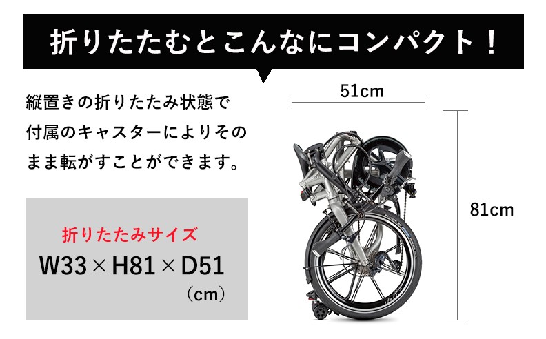 DAHON（ダホン） 折りたたみ自転車 Tern ターン BYB S11 ビーワイビー