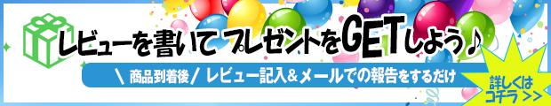 レビューを書いてプレゼント