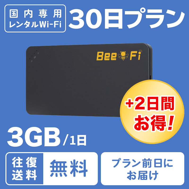 1日 3GB 30日プラン