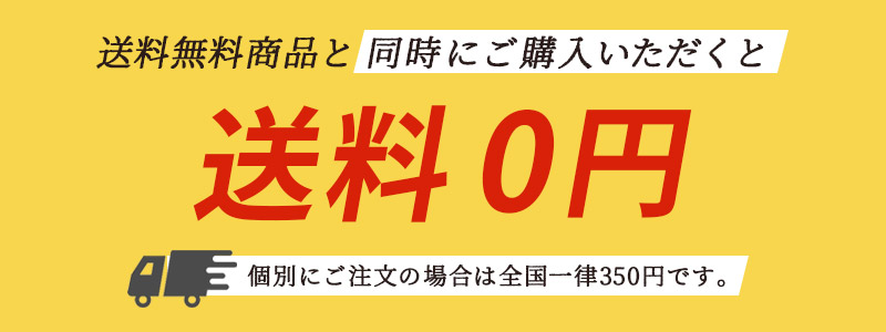 お祝い クリスマス ギフト プレゼント ラッピング袋