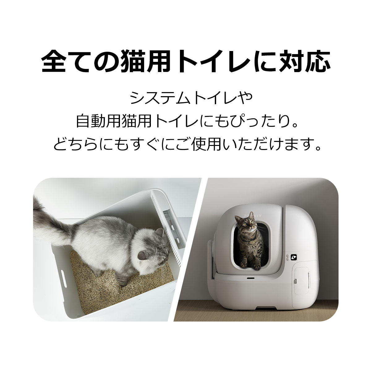 PETKIT（ペットキット） 【PETKIT】 猫砂 血尿検知 血に反応 色が