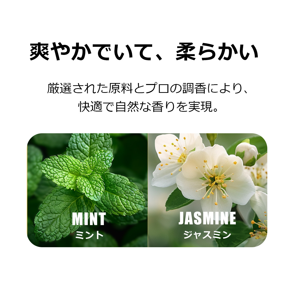 PETKIT（ペットキット） 【PETKIT】 消臭キューブ N50 MAX PRO / PURA