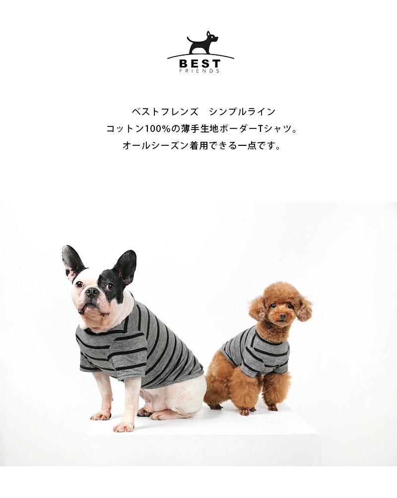 ベストフレンズ BFボーダーグレーTシャツ S M L XL｜犬服 犬の服