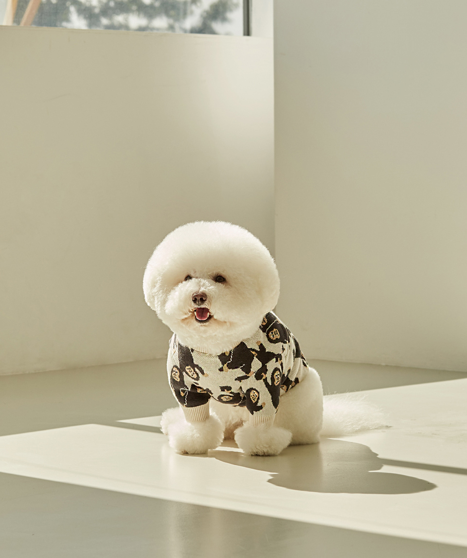 トラスト Dentists Appointment 犬服 オールインワン スモック 韓国 Www Anavara Com