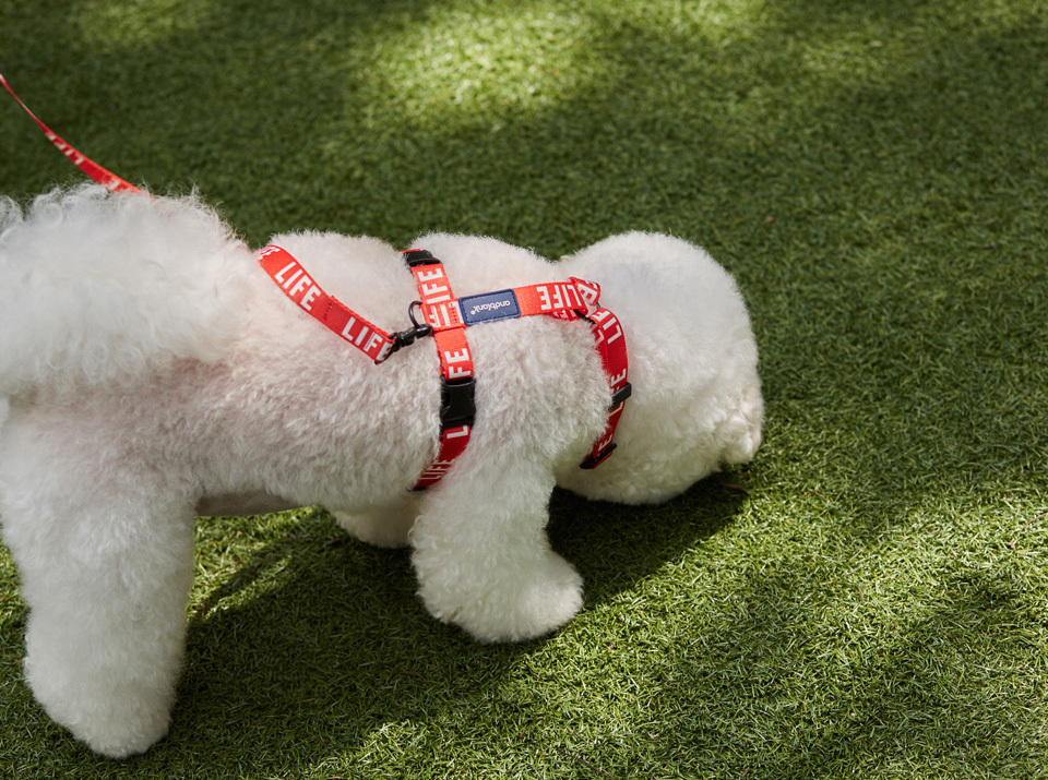 andblank LIFE ライフ H型ハーネス S M L｜犬 ハーネス 小型犬 抜け