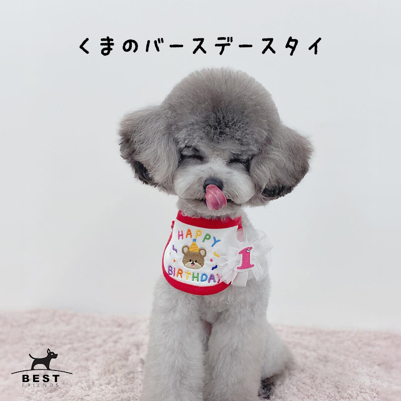 セール くまのバースデースタイ 犬 誕生日 スカーフ happy birthday くま 刺繍 かわいい SNS 写真 撮影 お祝い 犬の服 ドッグウェア  ベストフレンズ :ac-005:Best Friends - 通販 - Yahoo!ショッピング