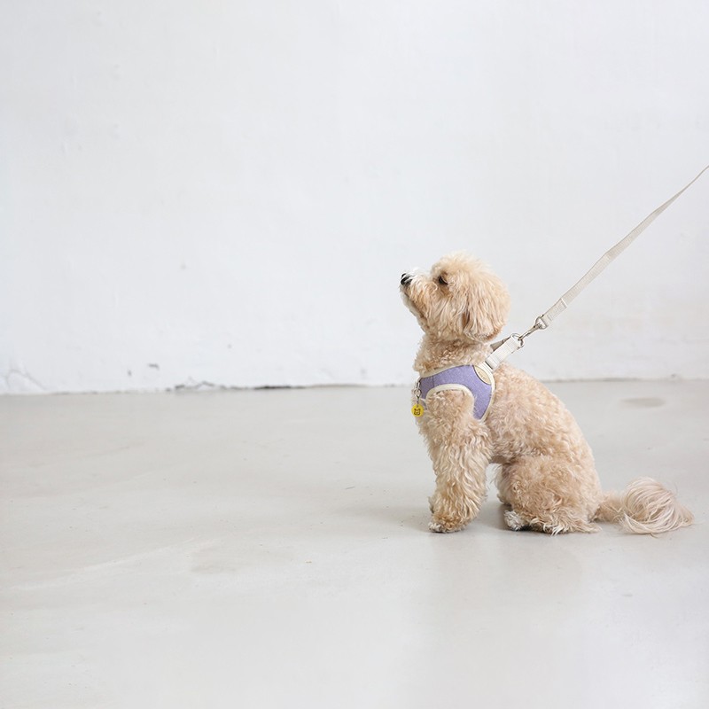 犬 ハーネス Bite Me バイトミーベストハーネス S M L Xl 胴輪 メッシュ 小型犬 ニュアンスカラー ソフトベスト Bm 001 Best Friends 通販 Yahoo ショッピング