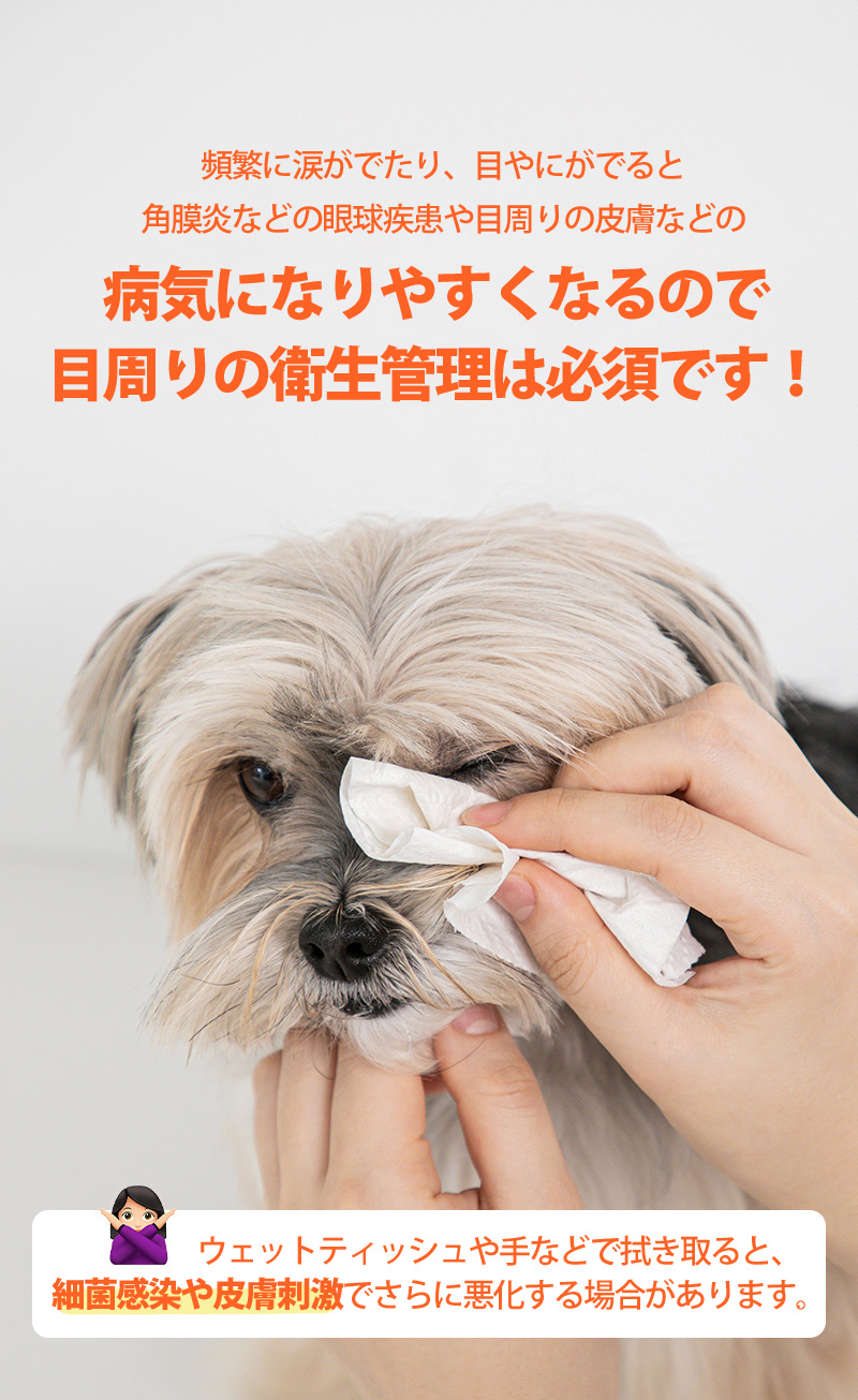 犬 ブラシ  