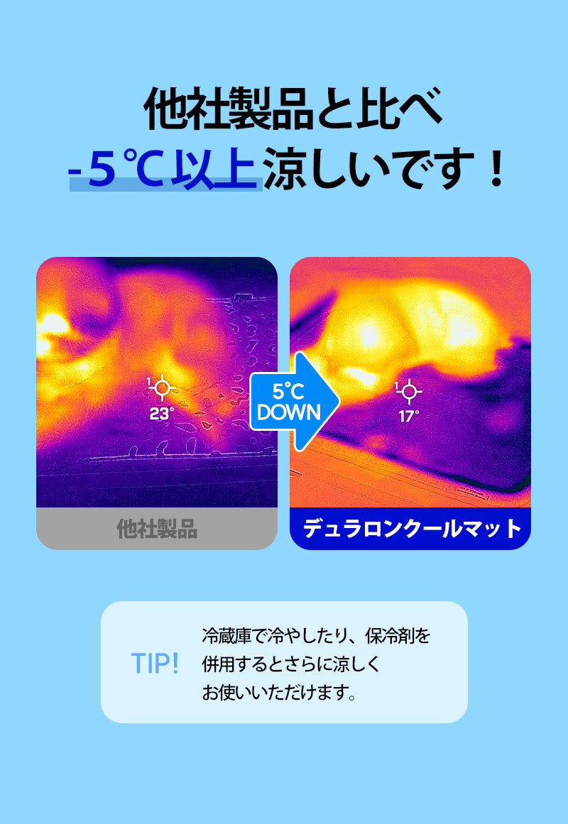 犬 暑さ対策  
