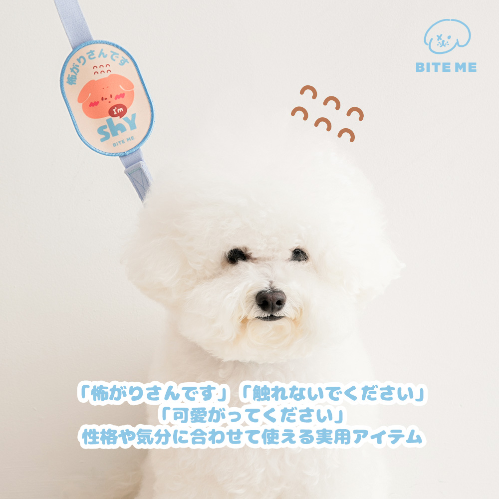 犬 気持ちアピール  