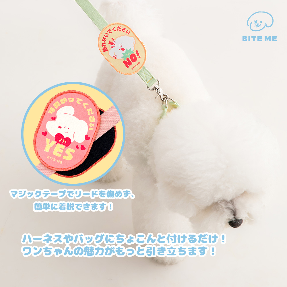 犬 危険