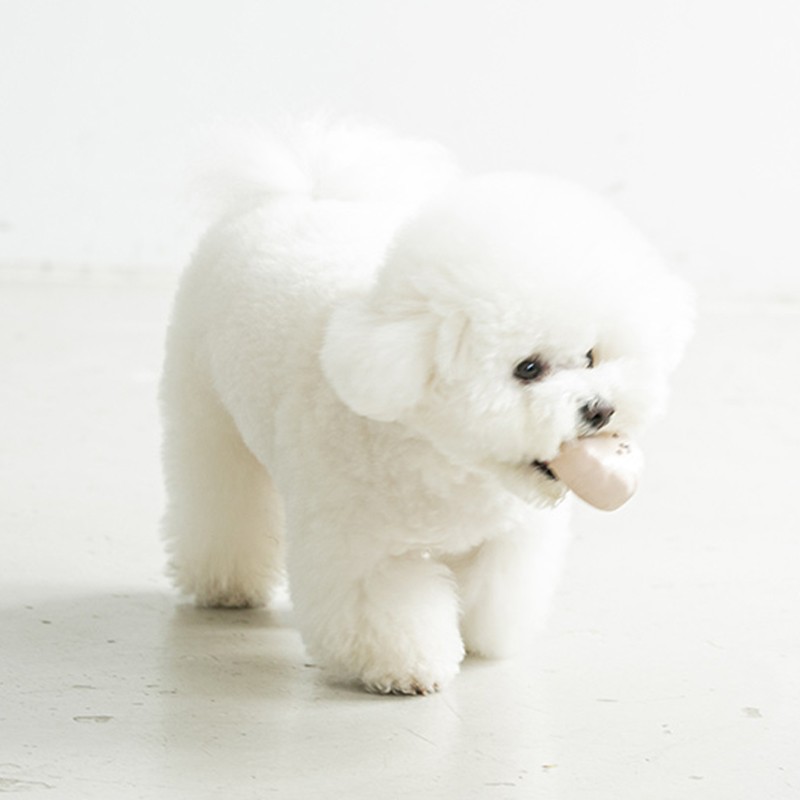 犬 ボール  