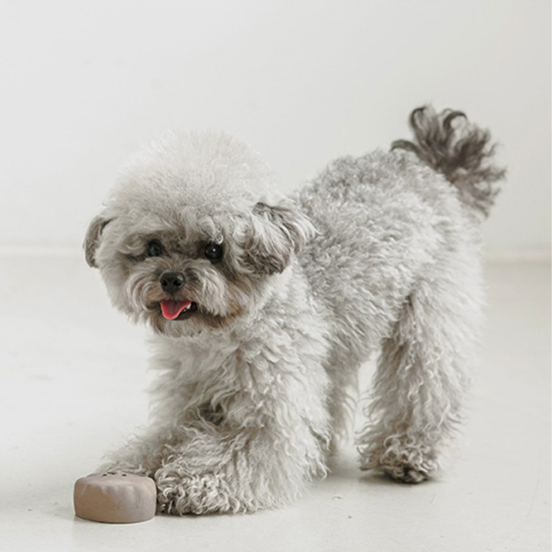 犬 おもちゃ キャラクター   