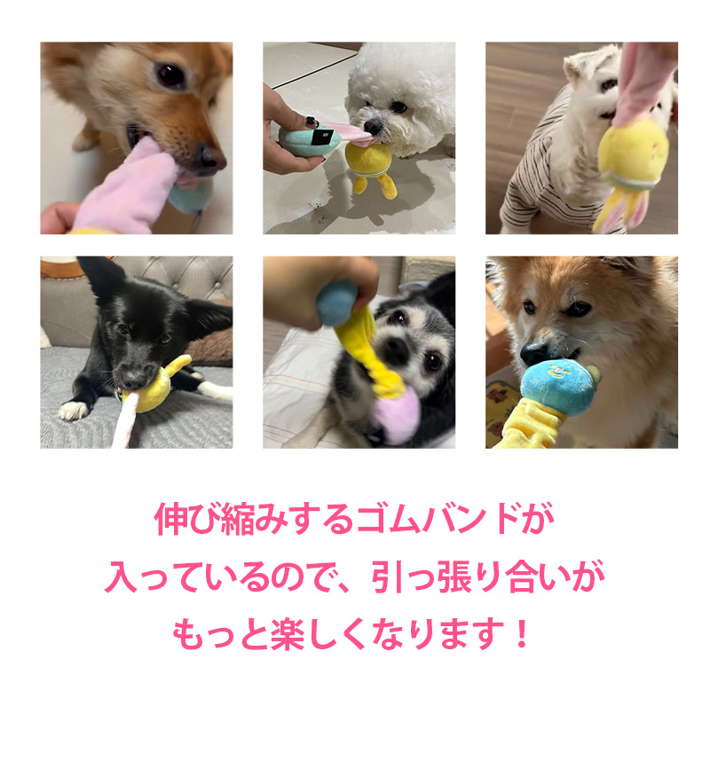 BITE ME（バイトミー） クーポンで最大500円OFF BITE ME ストレッチ