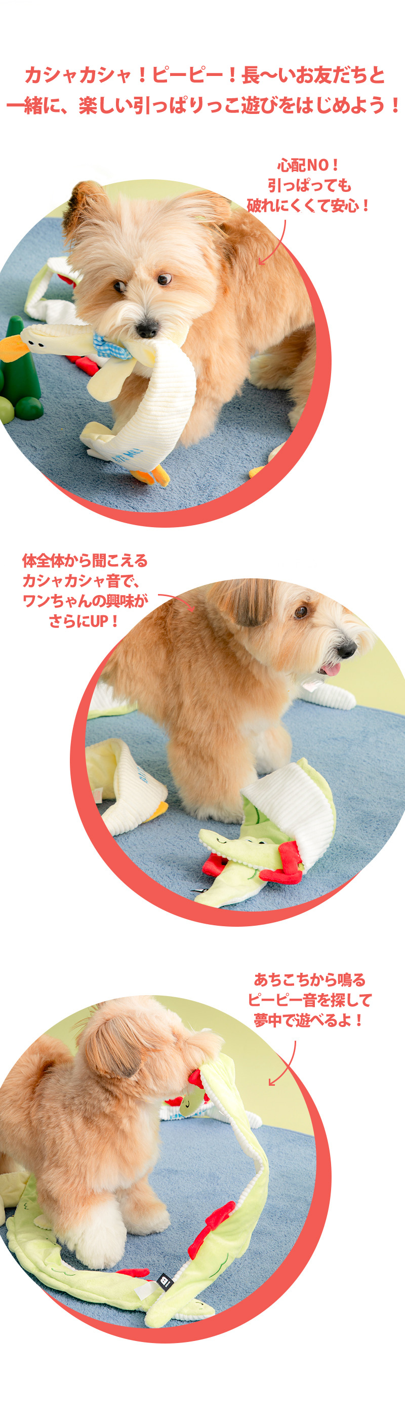 BITE ME（バイトミー） ロンロンズ引っ張りっこおもちゃ｜犬 おもちゃ