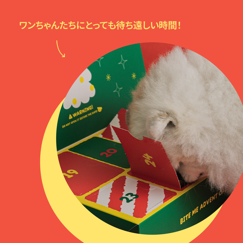 BITE ME（バイトミー） アドベントカレンダーおもちゃボックス｜犬