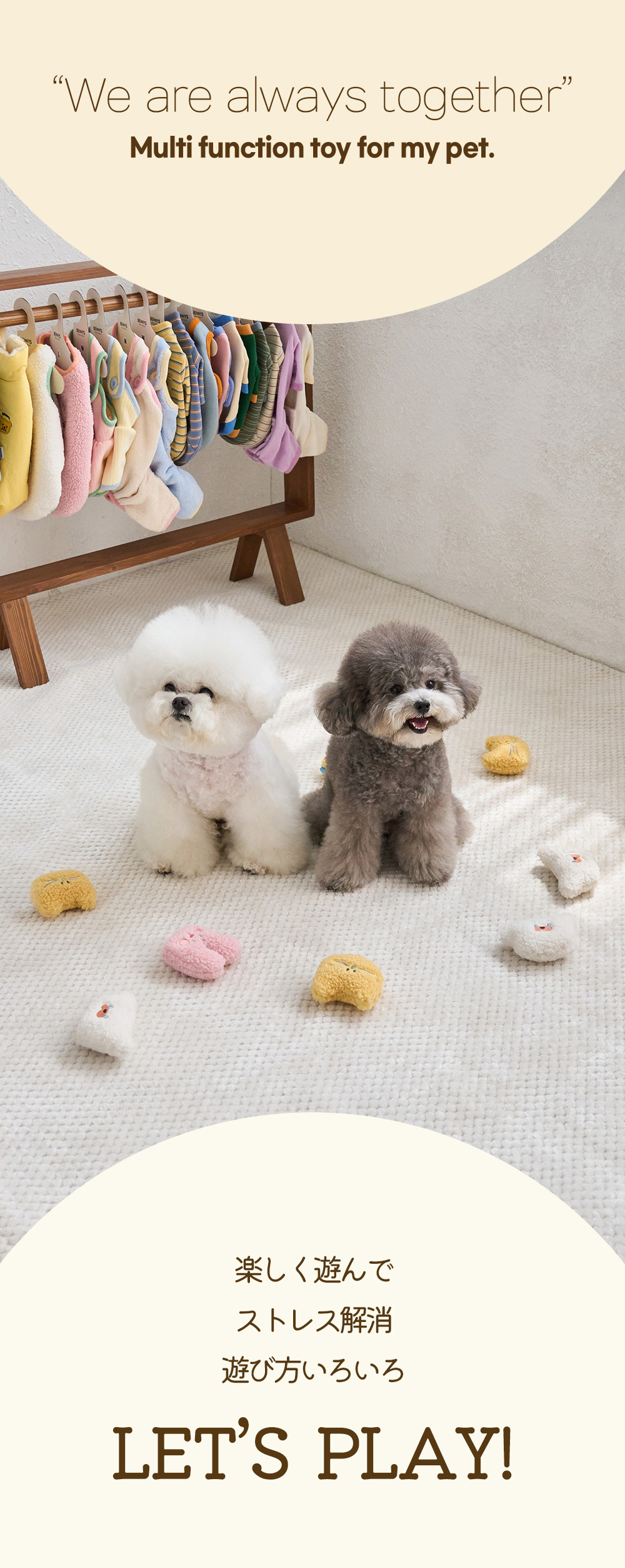 ベニーズ BENNYS 韓国 犬  