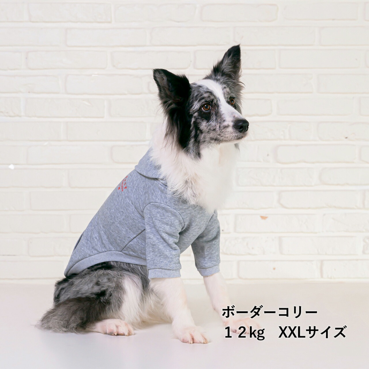 BFぎょうざパーカー S M L XL XXL 犬服 ドッグウェア パーカー フード