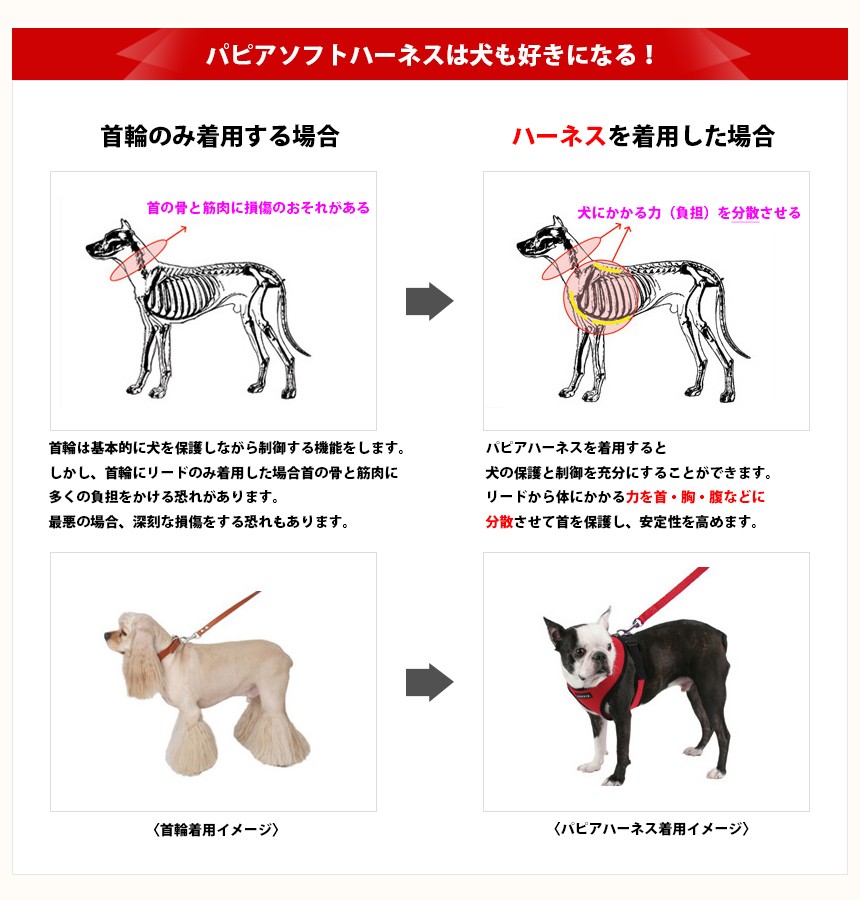 ハーネス ハーネス小型犬 ハーネス中型犬 ハーネス犬 ハーネスリュック ハーネスリード ハーネス安全帯 ハーネスxs ハーネスxl ハーネスxxl