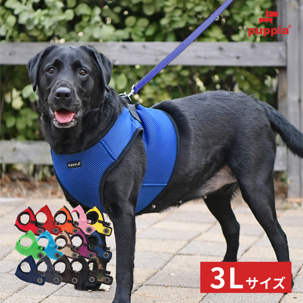 Amazon.co.jp: ベッツワンベテリナリー 犬用 避妊・去勢ケア（ニュータードケア） チキン 小粒 3kg : ペット用品