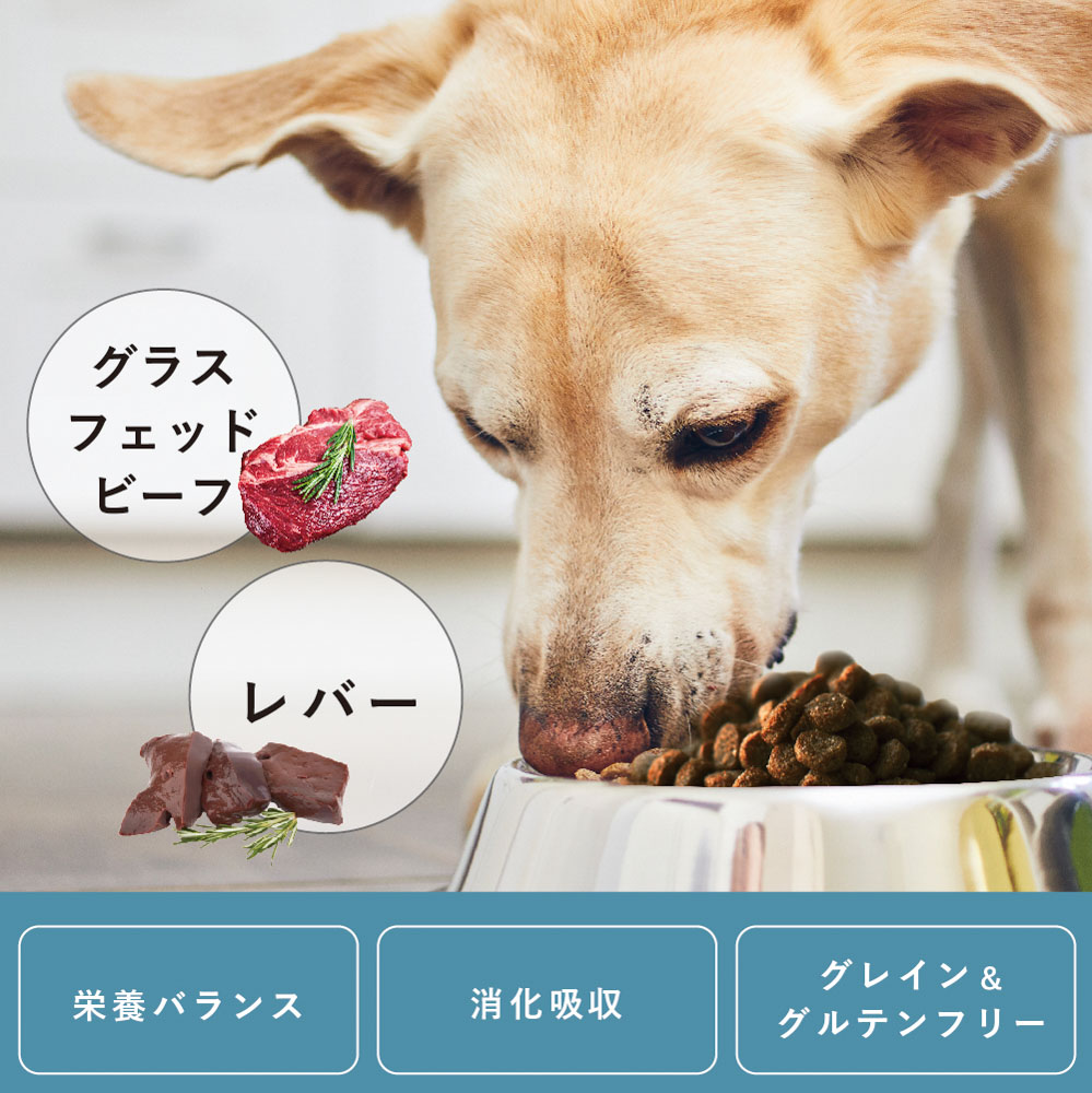 キアオラ KiaOra ドッグフード ビーフ＆レバー キアオラ KiaOra DOG グラスフェッドビーフ＆レバー