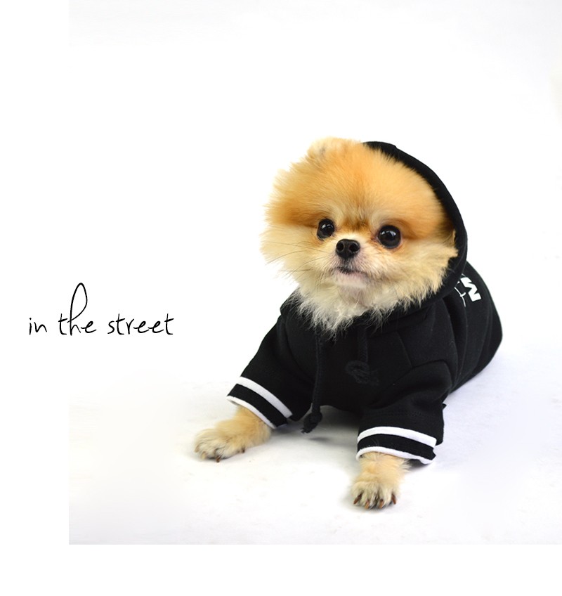 オーダー  犬の服 送料無料 ORTEGA (オルテガ） 犬服 パーカー ドッグウエア ORTG