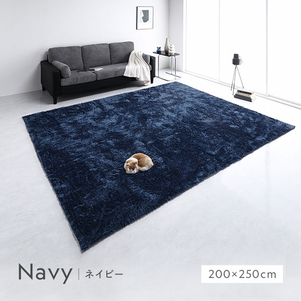 ラグマット 絨毯 約R185×185cm 円形 洗える 滑り止め付 軽量 ホット