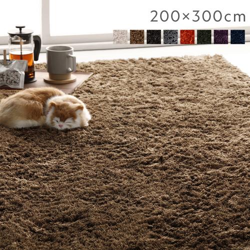 ラグマット 絨毯 約200×300cm 約4畳 長方形 洗える 滑り止め付 軽量 