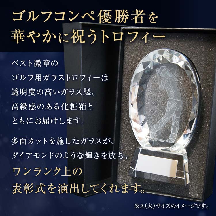 トロフィー ゴルフ 文字無料【30％OFF】高さ175ｍｍ クリスタル ガラス楯 S-810（Aサイズ/大) 優勝 ゴルフトロフィー コンペ  ホールインワン :s-810-a:トロフィー・カップの ベスト徽章 - 通販 - Yahoo!ショッピング