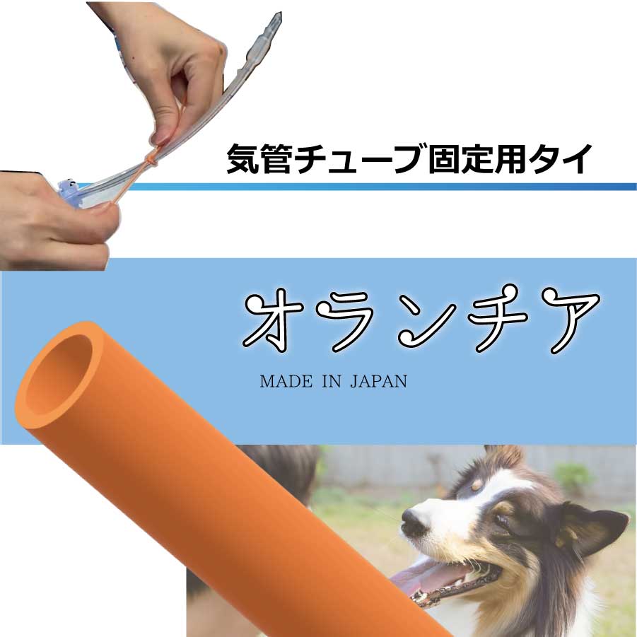 気管チューブ固定用タイ 99センチ 10本 動物病院向き　気管挿管　チューブ固定紐［オランチア］【お試し10本 サンプル価格】