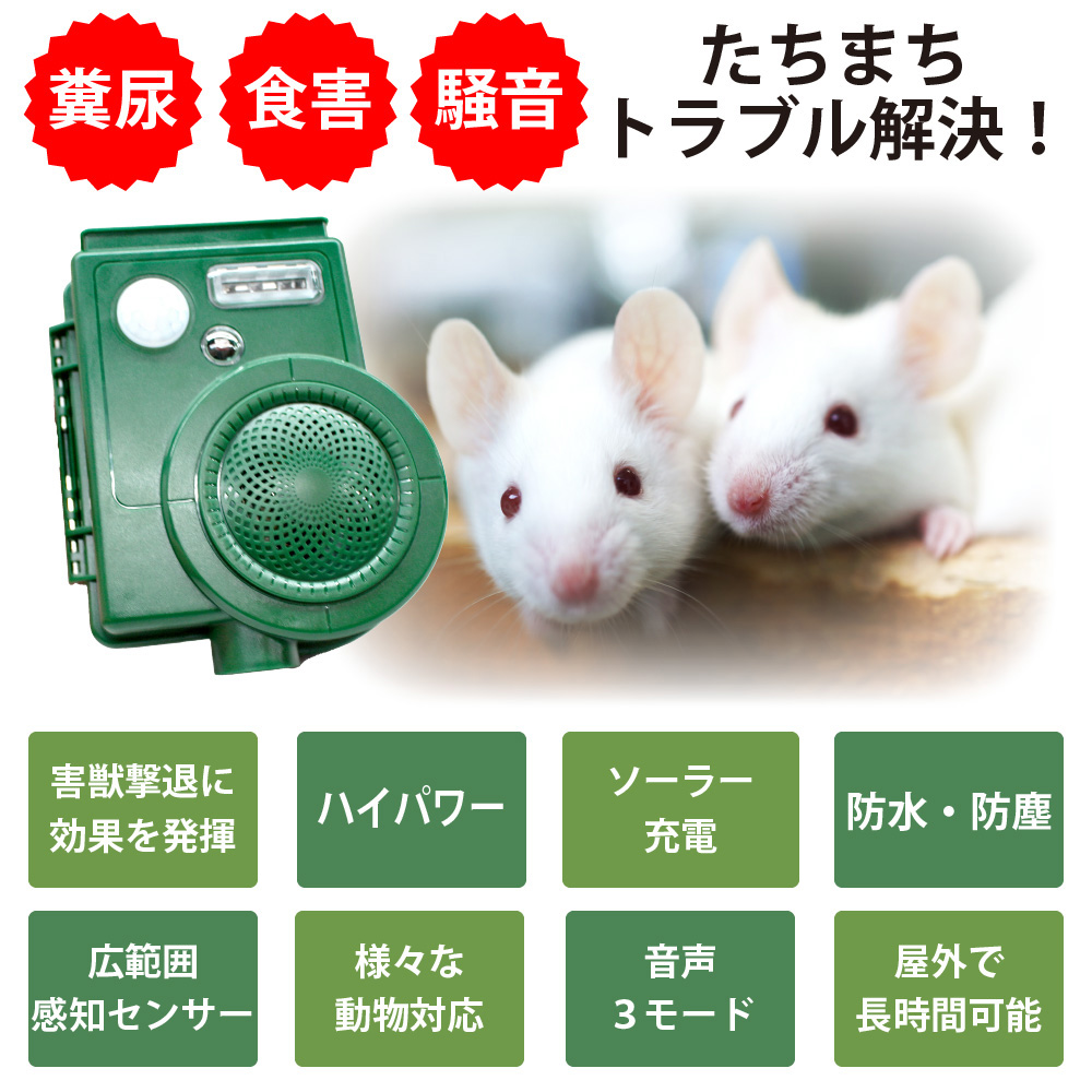 Bestanswer 野良猫 撃退 猫よけ 撃退器 猫 警告音 LEDフラッシュ