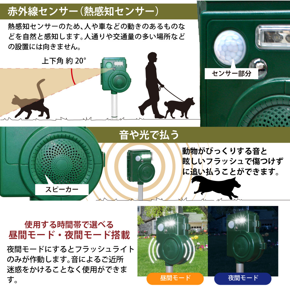 独占禁止法 | 泉水 文雄 |本 | 通販 | Amazon