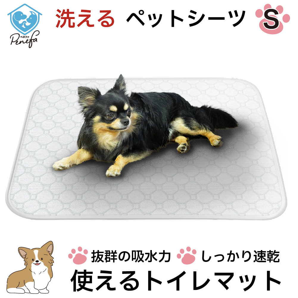 ペットシーツ 洗える 2枚セット Sサイズ 45×33cm レギュラー 犬 トイレ