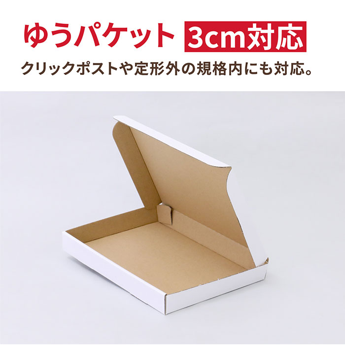 A5 厚さ3cm ゆうパケット (0271)