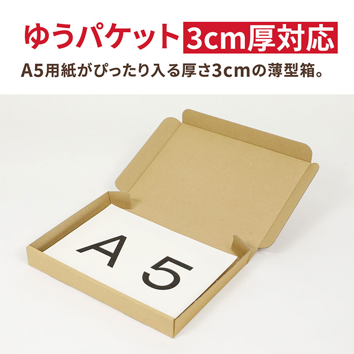 A5 厚さ3cm ゆうパケット (0402)