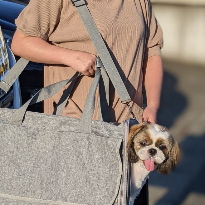 専門家監修】ペットキャリーバッグ ケース カート 犬猫兼用 中型犬