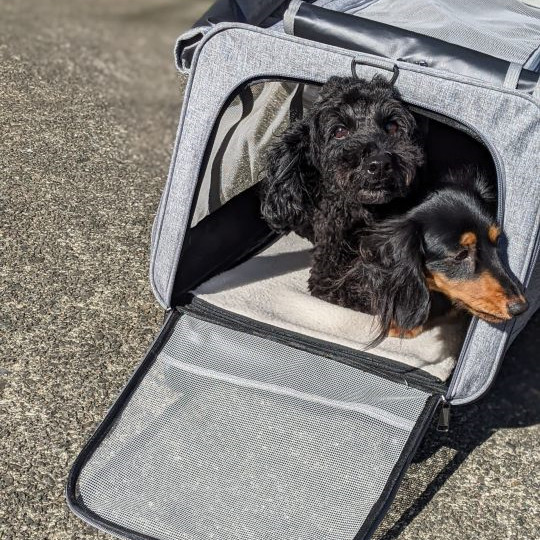 専門家監修】ペットキャリーバッグ ケース カート 犬猫兼用 中型犬