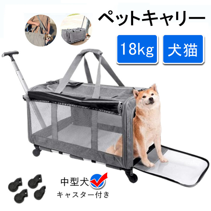 楽天市場】乳酸菌FK-23 Tsuyatto ツヤット 30包入 犬猫用 (99804) : 猫用品のゴロにゃん 楽天市場店