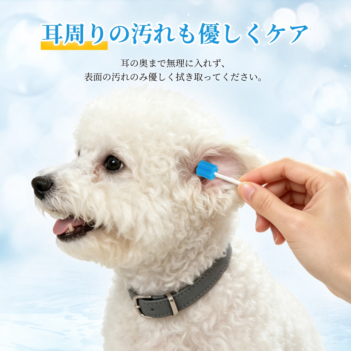ペット歯ブラシ 口腔ケアスポンジ 50本入 使い捨て 犬 猫 歯ブラシ